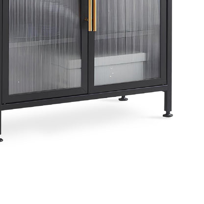 ZANERA 2 Door Shoe Cabinet (Jet Black)