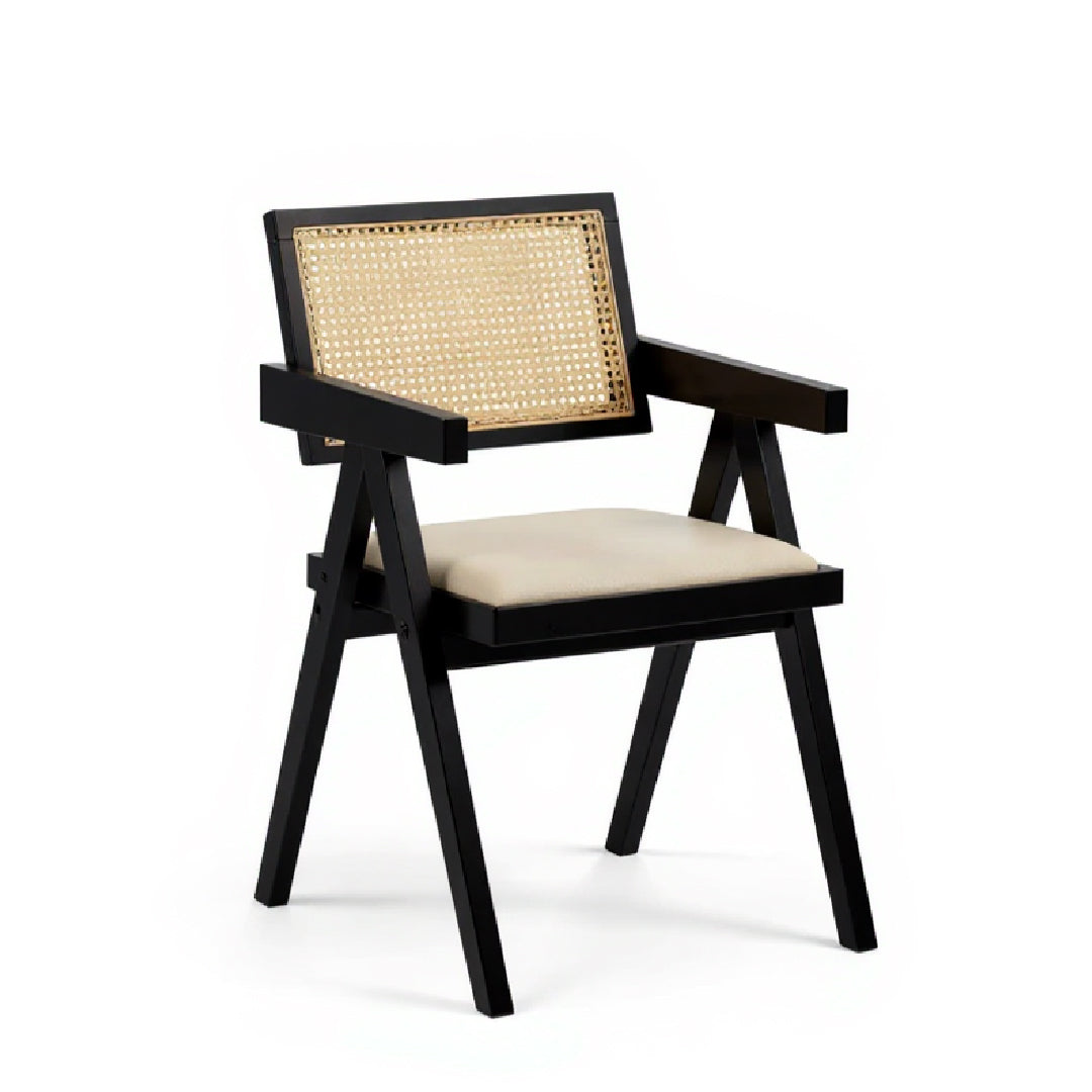 ARIANA Arm Chair (Black)