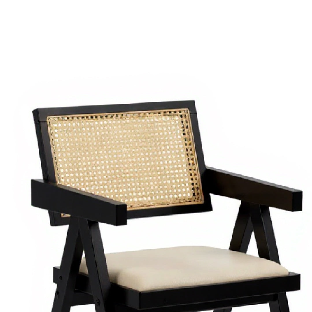 ARIANA Arm Chair (Black)